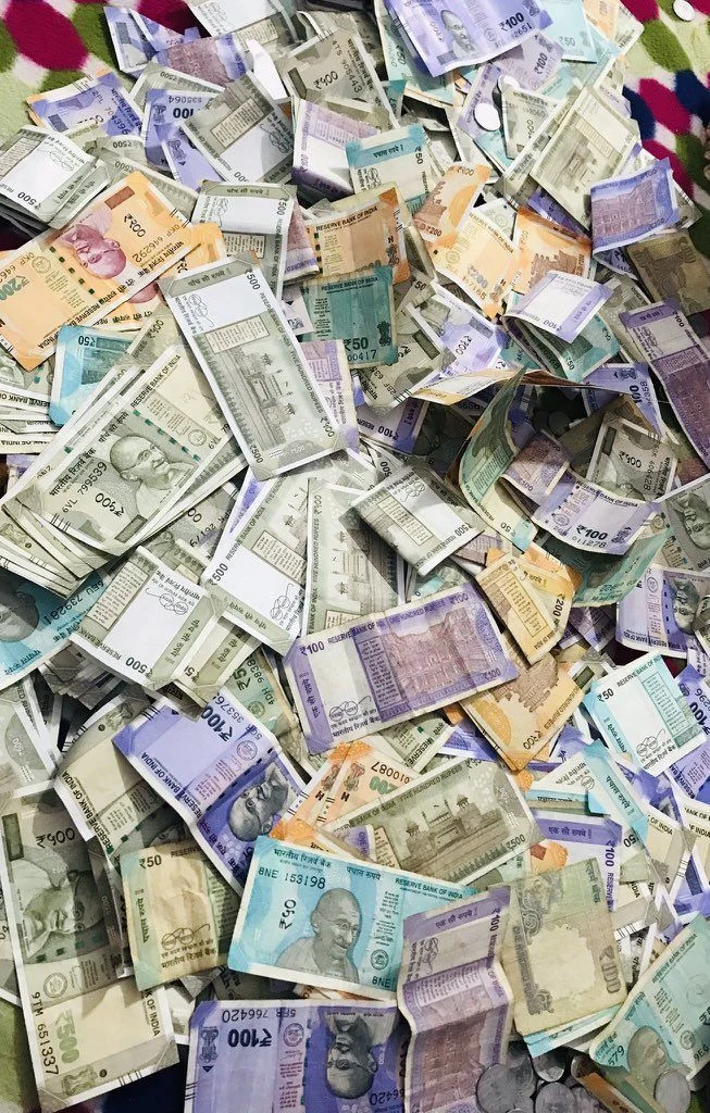 Bảo An Bet Khám Phá Vườn Cây Thanh Bình Của Ba