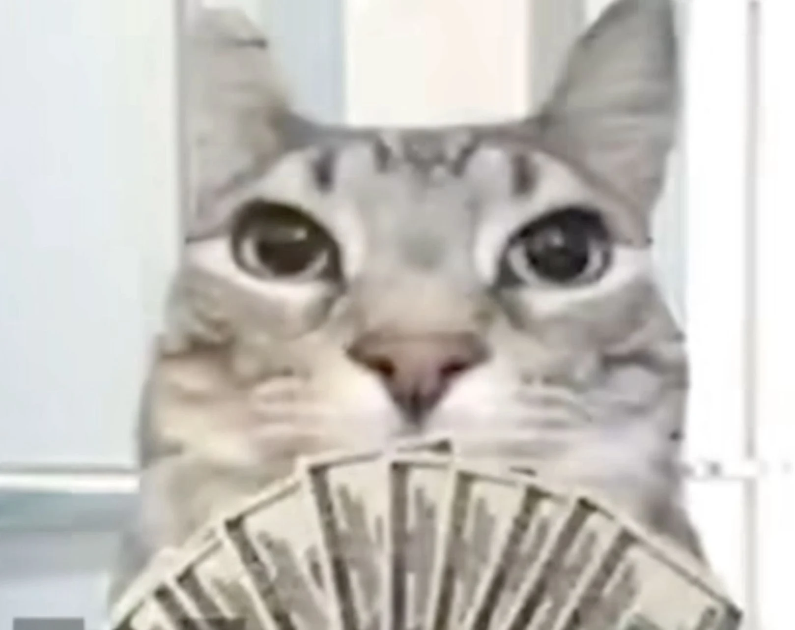 Những Giải Thưởng Bóng Đá Tổng Hợp và Đánh Giá